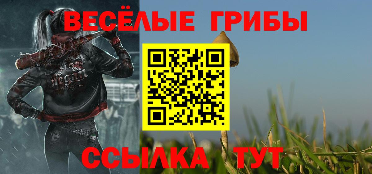 Галлюциногенные грибы Cubensis Ковров
