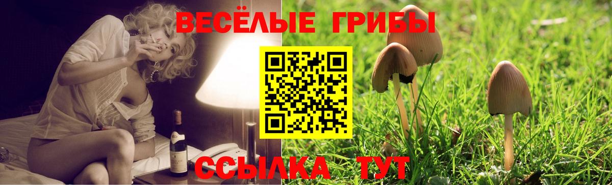 Ковров  Галлюциногенные грибы Cubensis  как найти закладки  Вход с VPN 